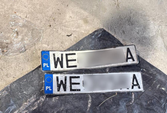 Koniec samochodowych złodziei! Policja rozbiła dziuplę pod Wołominem. Zatrzymano pasera