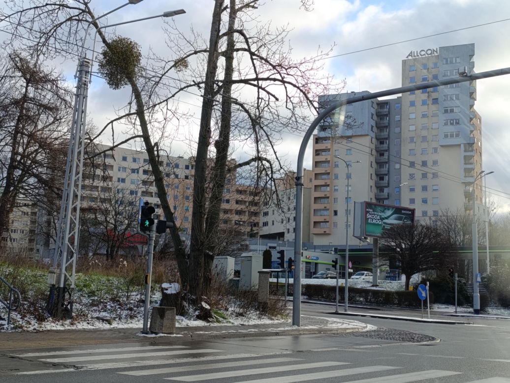 Gdynia. Ceny mieszkań w dzielnicach