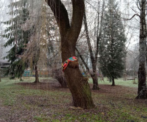 Park ul. Dekerta