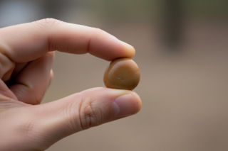 Imię Beata w Polsce. Co oznacza tak popularne imię za granicą?