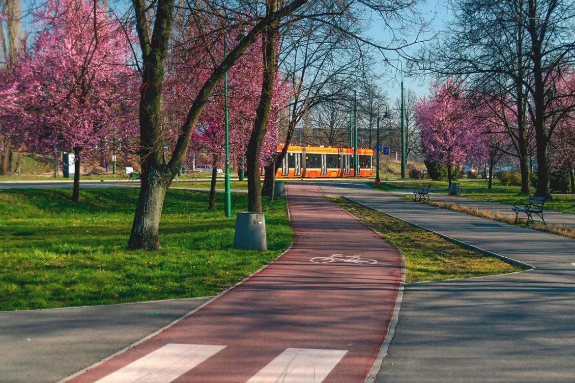 13. Sosnowiec