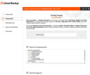 Bezpieczne przechowywanie plików w chmurze. Cloud Backup pomoże zabezpieczyć dane Twojej firmy
