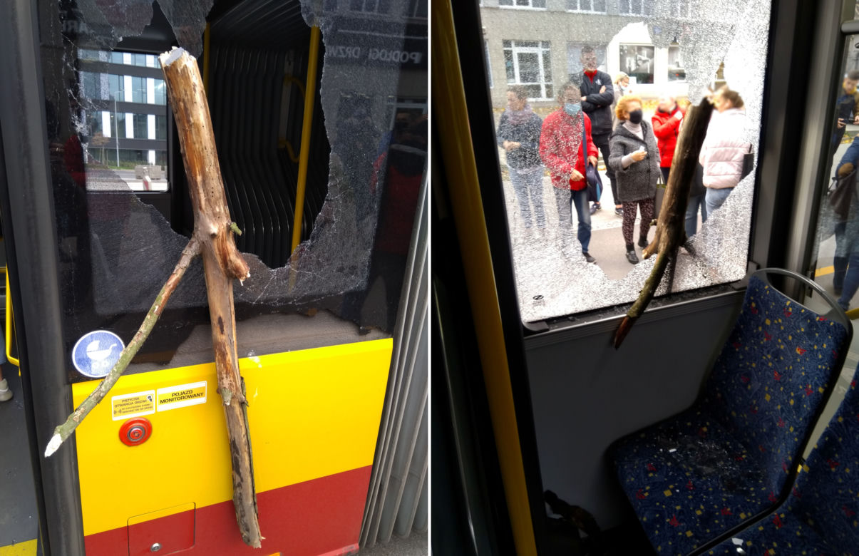 Drzewo wybiło szybę w łódzkim autobusie