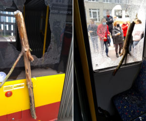 Drzewo wybiło szybę w łódzkim autobusie