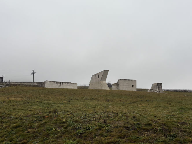 Muzeum archeologiczne w Pavlovie, Czechy