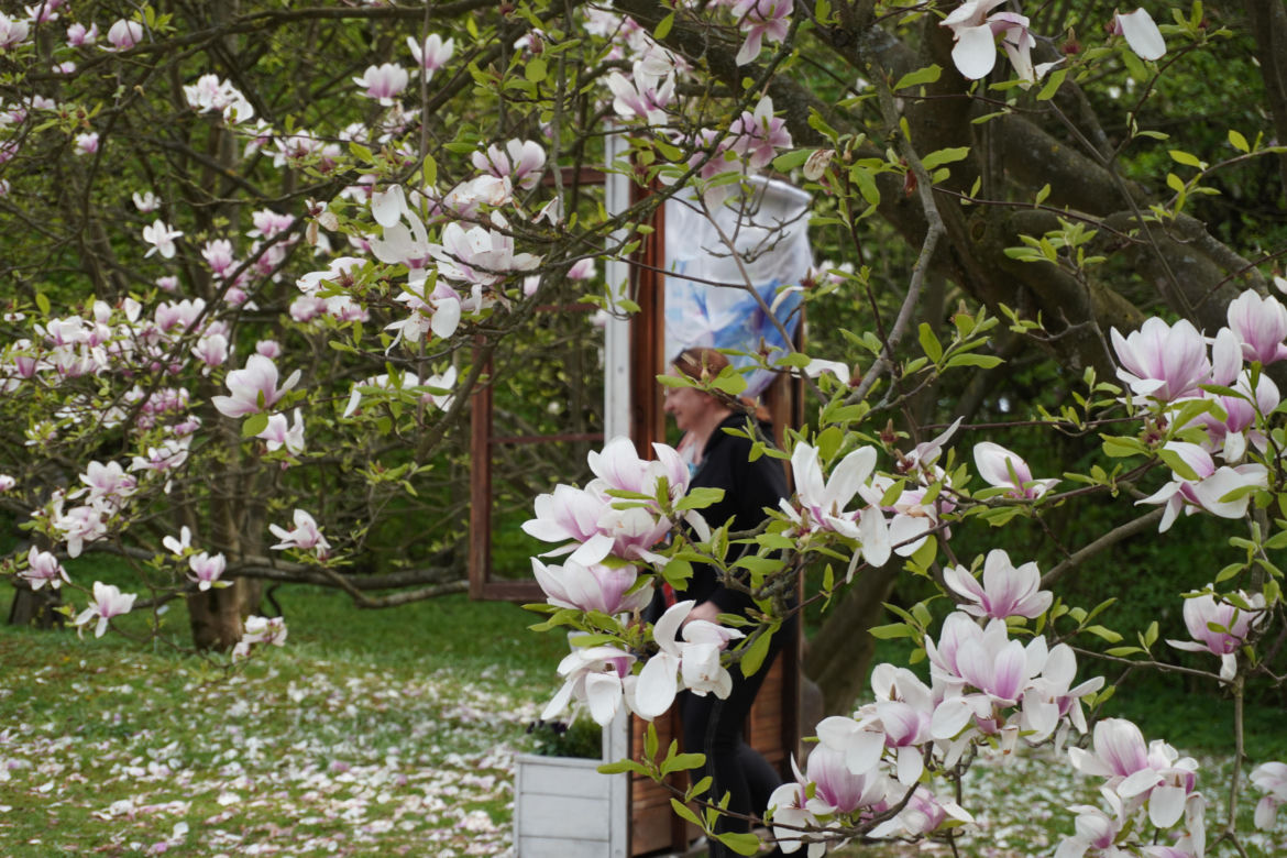 Ogród Botaniczny w Lublinie