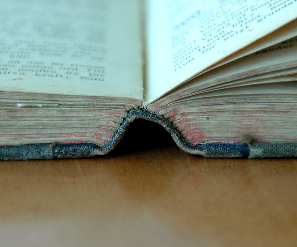 Proszę państwa do gazu - Tadeusz Borowski: streszczenie, opracowanie, interpretacja