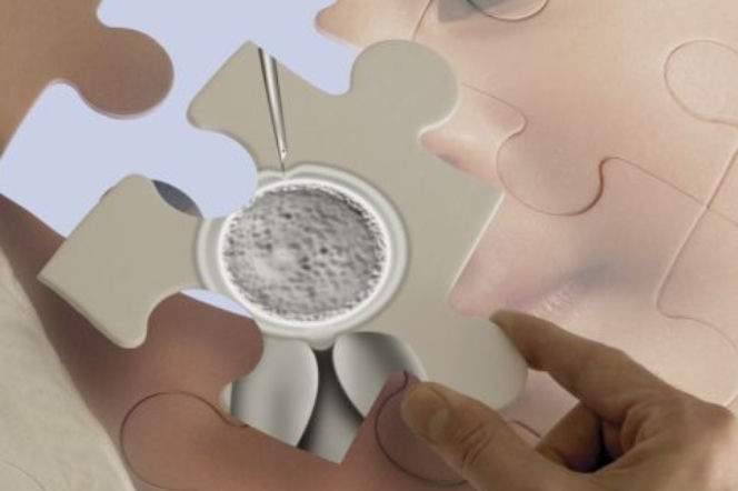 In vitro: jak to się robi