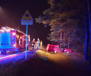 Tragiczny wypadek na DK 10 w Solcu Kujawskim! Nie żyje jedna osoba! [ZDJĘCIA] 