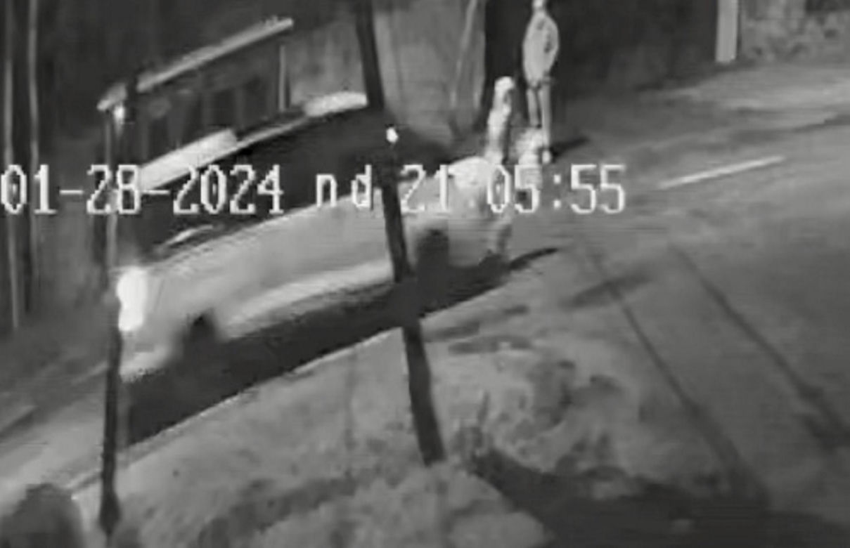 Dziewczynka wbiegła prosto pod samochód. Dramatyczne nagranie z potrącenia 12-latki