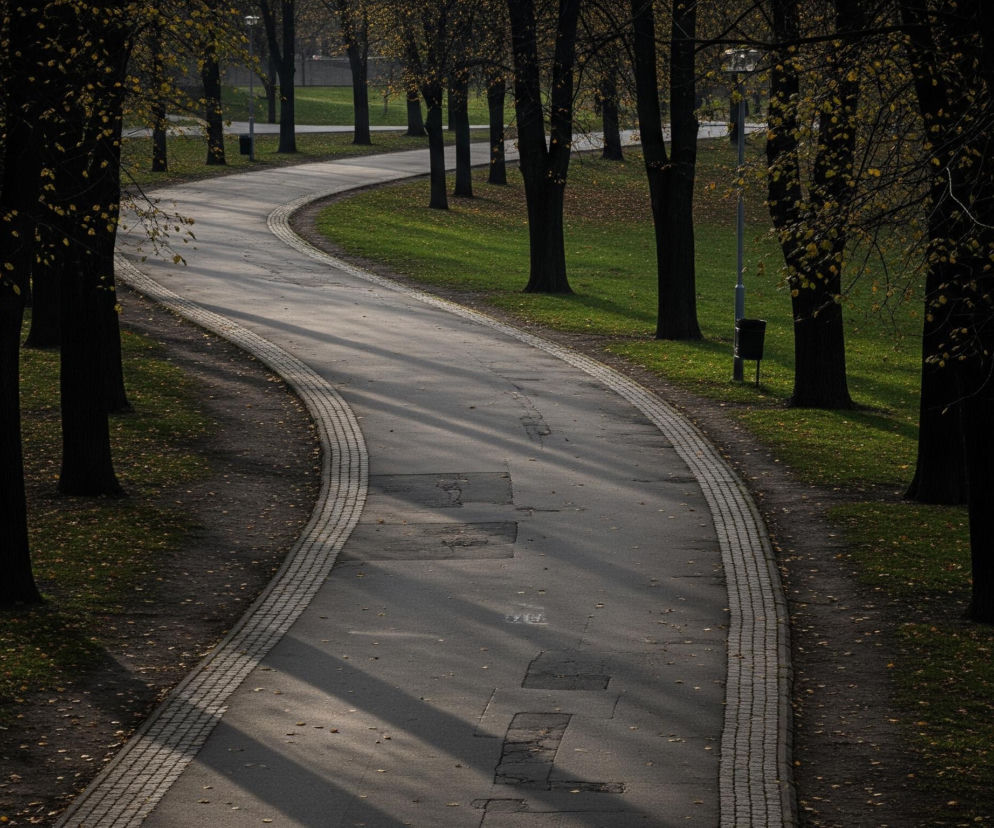 Wąska asfaltowa ścieżka wijąca się przez park dominuję w centrum obrazu, otoczona równymi rzędami drzew o ciemnych pniach i rzadkich, żółtych liściach. Po obu stronach ścieżki rozpościera się zielona trawa, gdzieniegdzie pokryta jesiennymi liśćmi, a równolegle do ścieżki biegnie pas szarej kostki brukowej. Na horyzoncie widoczny jest słup latarni ulicznej z czarnym koszem na śmieci u podstawy, a na ścieżce leżą długie cienie rzucane przez drzewa, rozjaśnione częściowo światłem słonecznym.