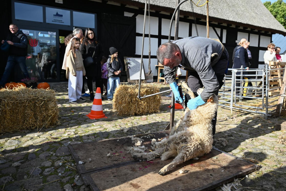 IV Jamneńskie Zakończenie Sezonu Pasterskiego
