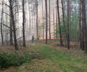 Ogromny pożar pod Grójcem! Spłonęło 80 hektarów lasu