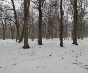 Gdzie mieścił się kiedyś letni teatr? Siedlecki park Aleksandria sto lat temu i w pierwszym tygodniu stycznia 2021: