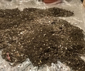 Jakie skarby wrzucali turyści do zamkowej studni? Przedmioty wydobyło muzeum [FOTO]