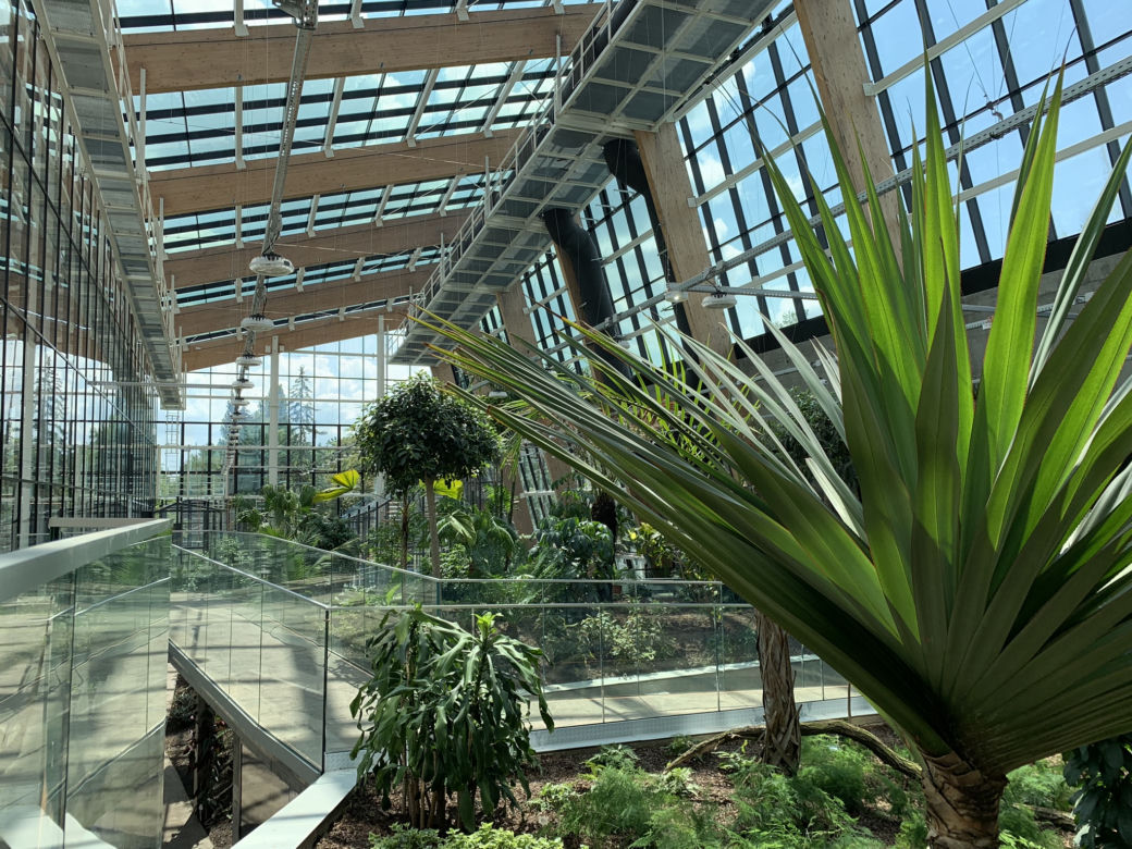 Budowa Egzotarium w Sosnowcu niemal na finiszu. Zobacz, jak wygląda "wizytówka" Sosnowca od środka