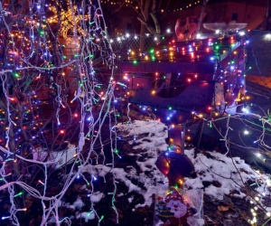 Dom bydgoskich Griswoldów znów rozbłysł. Powieśiliśmy 300 tysięcy lampek. Przygotowywaliśmy jej od lipca!