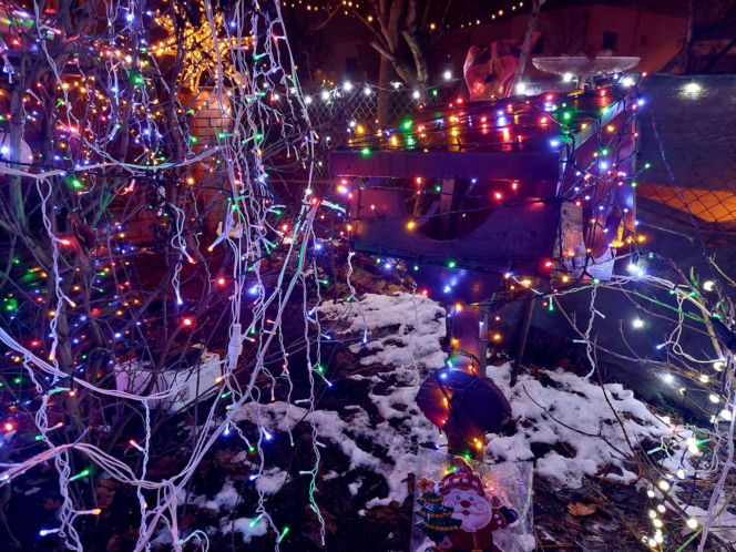 Dom bydgoskich Griswoldów znów rozbłysł. "Powieśiliśmy 300 tysięcy lampek. Przygotowywaliśmy jej od lipca!"