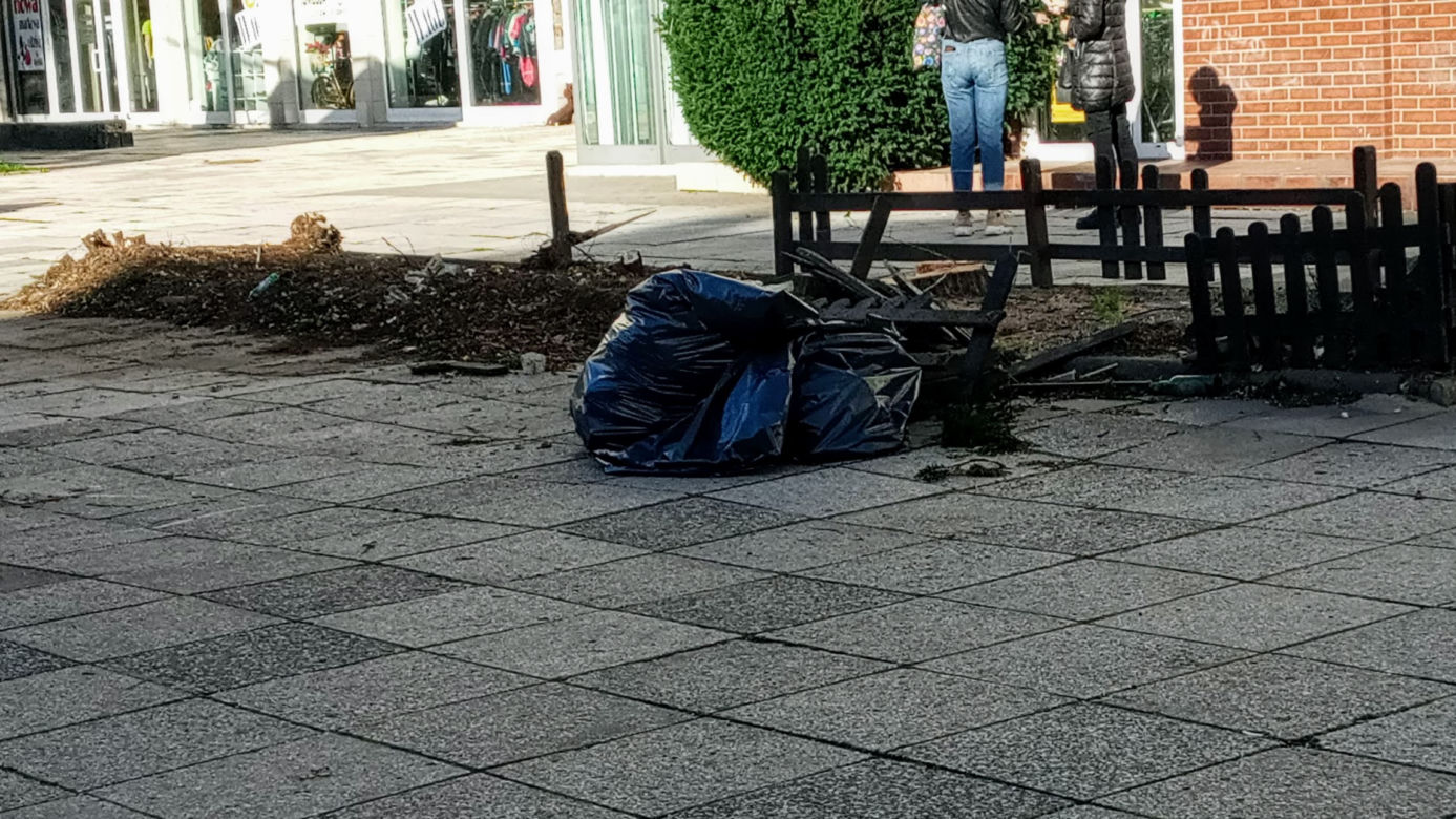 Z alei Wojska Polskiego wycięto kilkanaście drzew