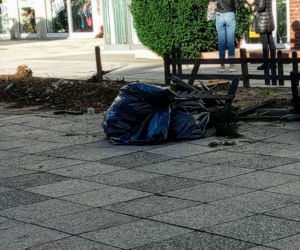 Z alei Wojska Polskiego wycięto kilkanaście drzew