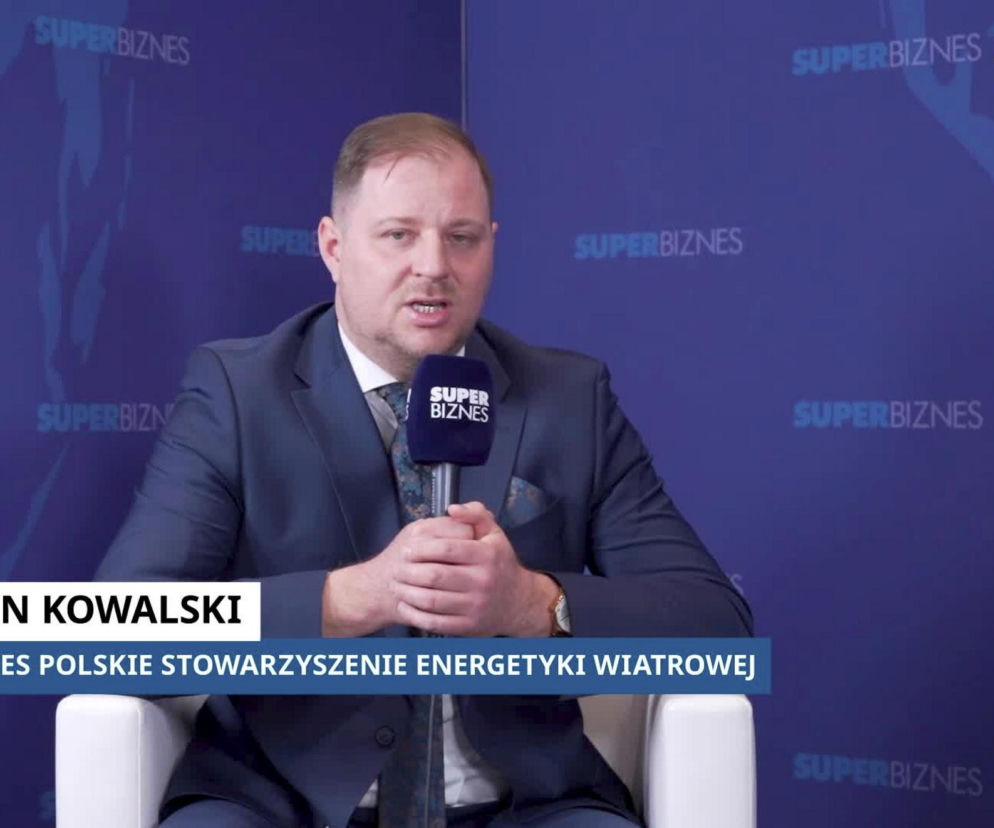 Potencjał jest ogromny. Co blokuje wiatraki w Polsce?