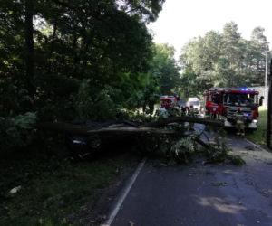Dolny Śląsk: Samochód wypadł z drogi i dachował