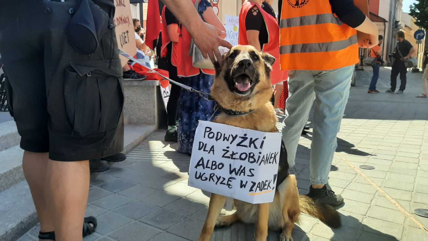 PROTEST PRACOWNIC ŻŁOBKÓW PRZED URZĘDEM MIASTA W POZNANIU