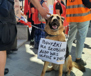 PROTEST PRACOWNIC ŻŁOBKÓW PRZED URZĘDEM MIASTA W POZNANIU