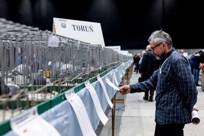 Katowice stolicą gołębiarstwa. Za nami 17. edycja EXPOGołębie. To największa tego typu impreza w Europie