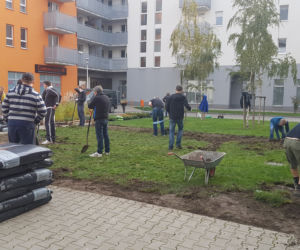 Mieszkańcy sami zazielenili sobie beton na Dąbrowskiego