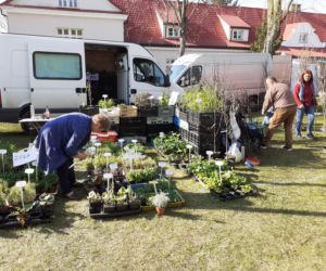 Fotorelacja z wydarzenia Wiosna na polu i w ogrodzie w Siedlcach w 2022 roku