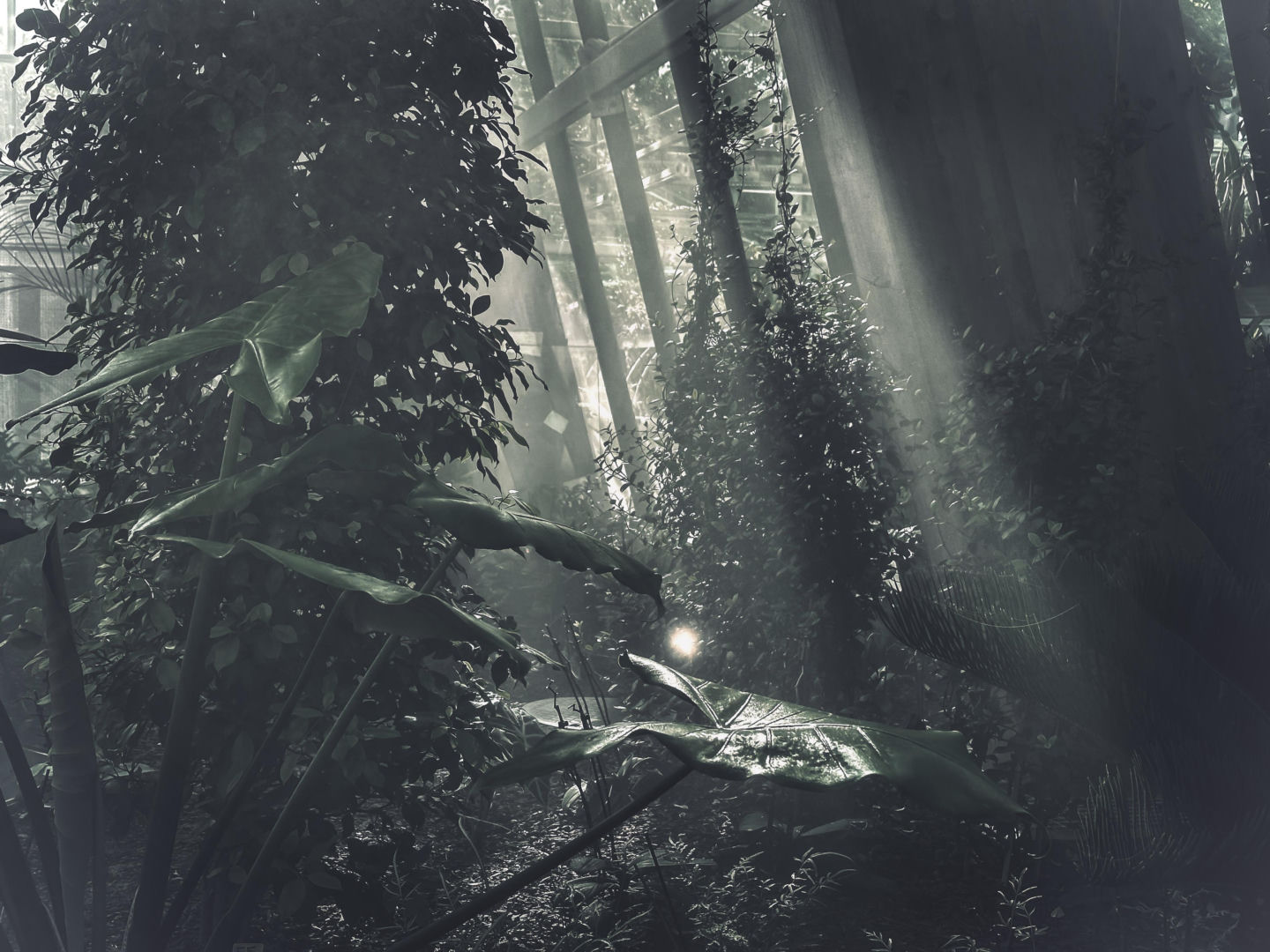 Egzotarium w Sosnowcu