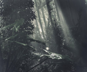 Egzotarium w Sosnowcu