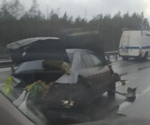 Szok! Podczas wypadku z auta wyleciały bezgłowe zwłoki. Kierowca to morderca i kanibal 