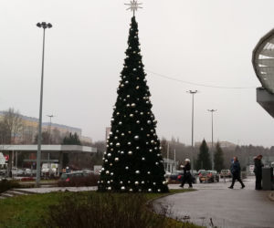 Największe choinki w Olsztynie