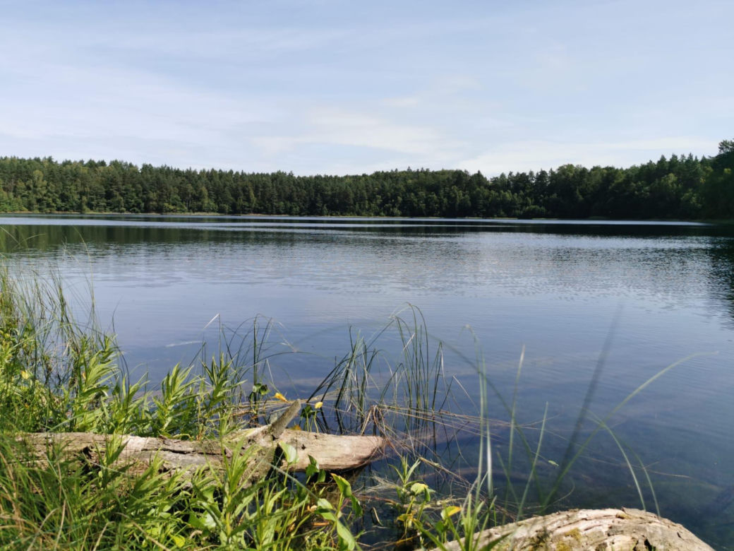 Jezioro Jasne