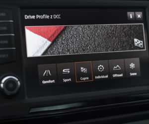 Cupra Ateca 2.0 TSI 300 KM 4Drive DSG7