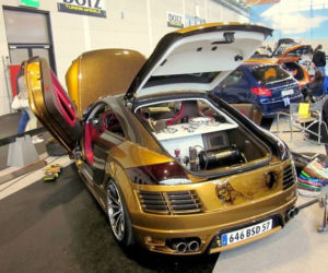 Zmasakrowane Audi TT Louis Vuitton