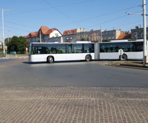 Pierwszy kurs autobusu przegubowego w Grudziądzu