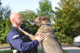 Luna odchodzi na emeryturę. Siedem lat była w policji [ZDJĘCIA]