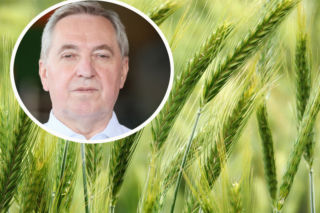 To był trudny rok dla rolnictwa. Potrzebna pilna pomoc w eksporcie zbóż z Ukrainy