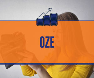 Podwyżki cen w 2021 roku. Zobacz, co zdrożeje [LISTA]