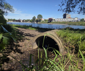Rewitalizacja bulwarów nad Brdą. Umocnione nabrzeże i nowe ścieżki!