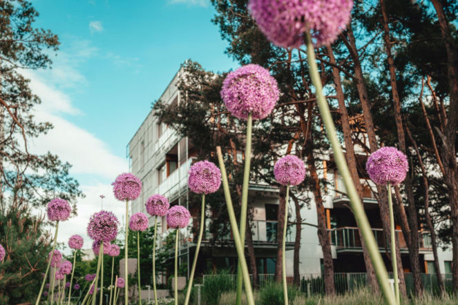 Apartamenty Nadmorski Dwór Invest Komfort