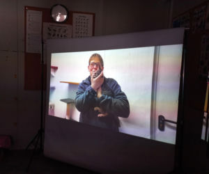 Mruczki w roli głównej. Dzień Kota w schronisku dla bezdomnych zwierząt w Henrykowie