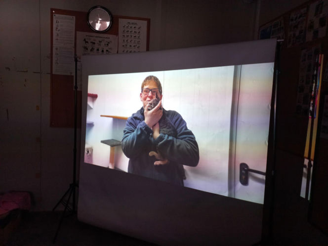 Mruczki w roli głównej. Dzień Kota w schronisku dla bezdomnych zwierząt w Henrykowie