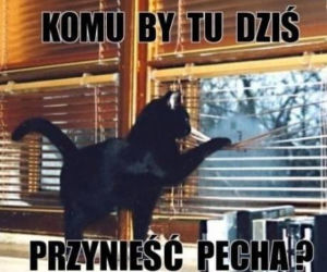 Memy na PIĄTEK trzynastego! Zobacz najśmieszniejsze obrazki w internecie! [GALERIA] 