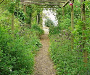 Pergola - podpora dla roslin, ochrona przed sloncem