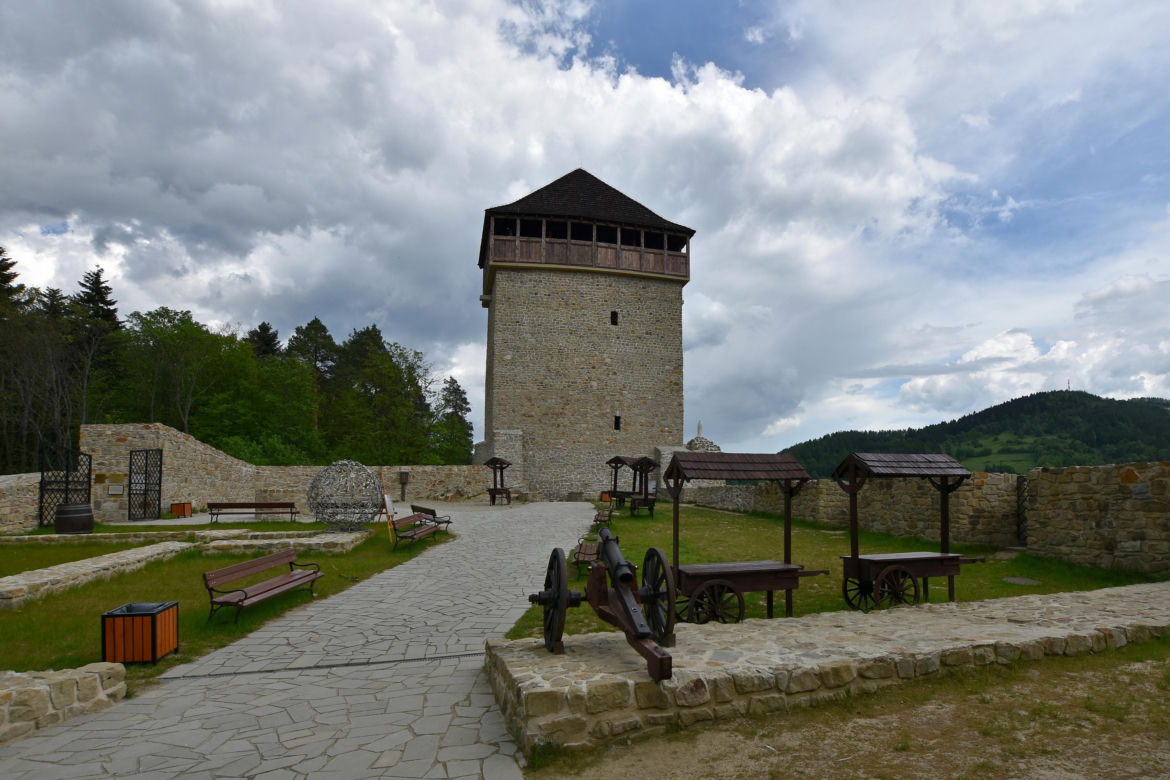 Zamek w Muszynie