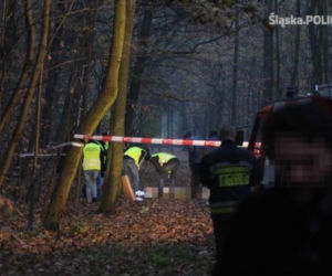 Katowice. Zabójstwo w Parku Kościuszki